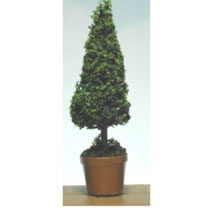 Dollhouse Miniature Topiary Large Fir 3In